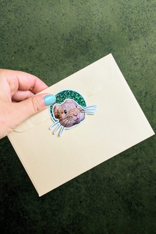 Carte Cadeau Numérique