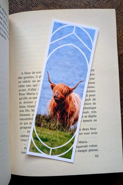 Marque-Page Vache Rousse des Highlands
