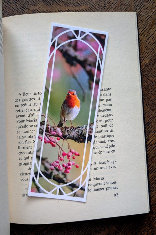 Marque-Page Rouge-Gorge d'Écosse