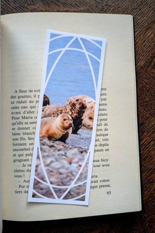 Marque-Page Phoques Écosse