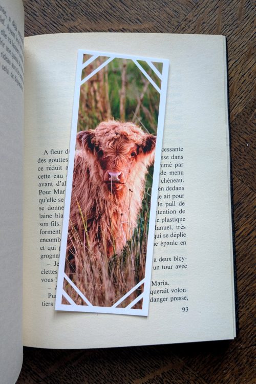 Marque-Page Veau Roux des Highlands