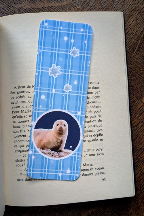 Marque-Page PHOQUE - Édition Spéciale HIVER en Écosse