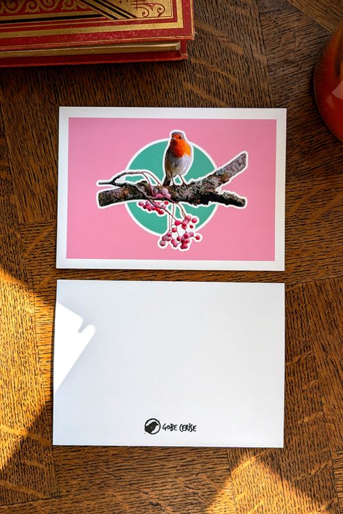 Carte A6 Rouge-Gorge - Rose Vert
