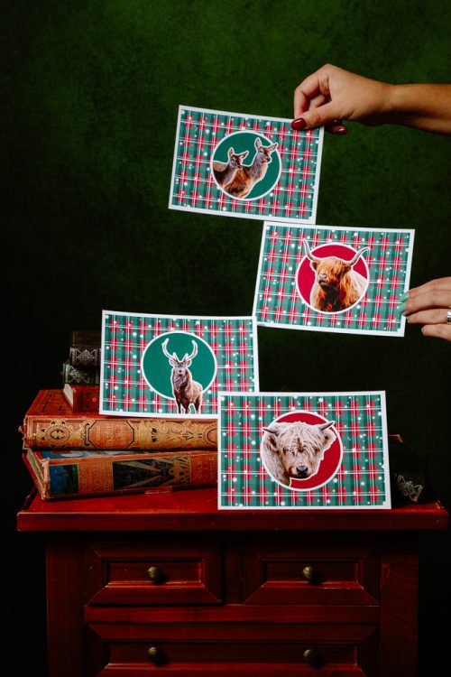 Grandes Cartes de Noël : Animaux d'Écosse