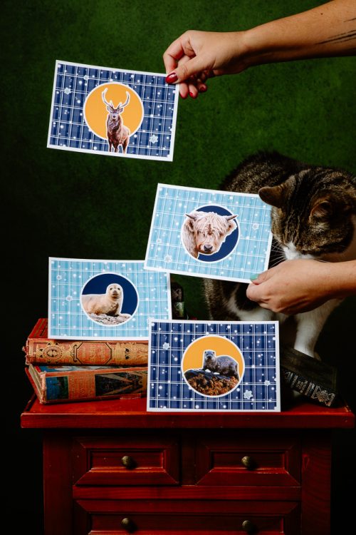 Grandes Cartes : Animaux d'Écosse - BLEU / HIVER