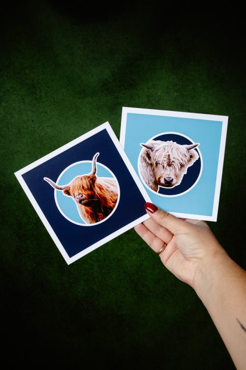 Cartes Vaches des Highlands Carrées Bleues (Unité ou Lot de 2)