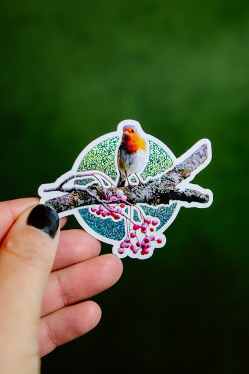 Sticker Rouge-Gorge d'Écosse