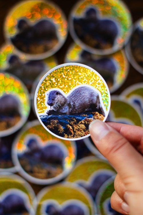 Stickers Loutre Dorée