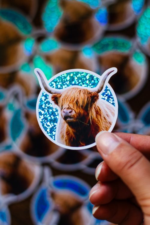 Stickers Vache des Highlands Rousse