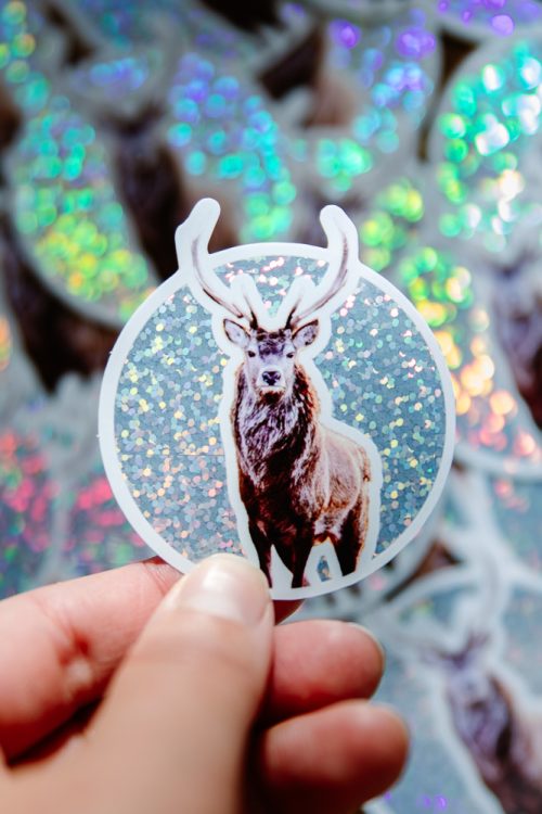 Sticker Cerf sous la neige