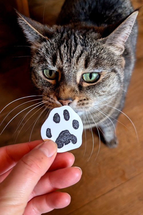 Sticker Patoune de Chat - LINOGRAVURE / Fait Main (plusieurs finitions)