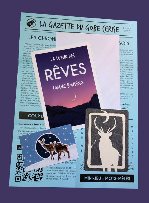Fragment d'Archive : Janvier 2026
