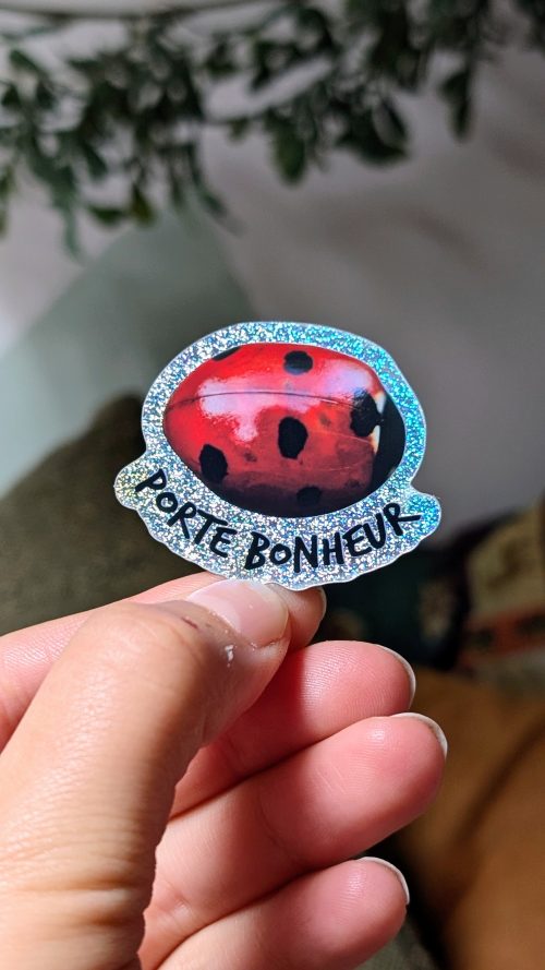 Sticker Coccinelle Porte-Bonheur Pailleté